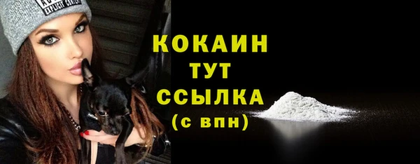 каннабис Новозыбков